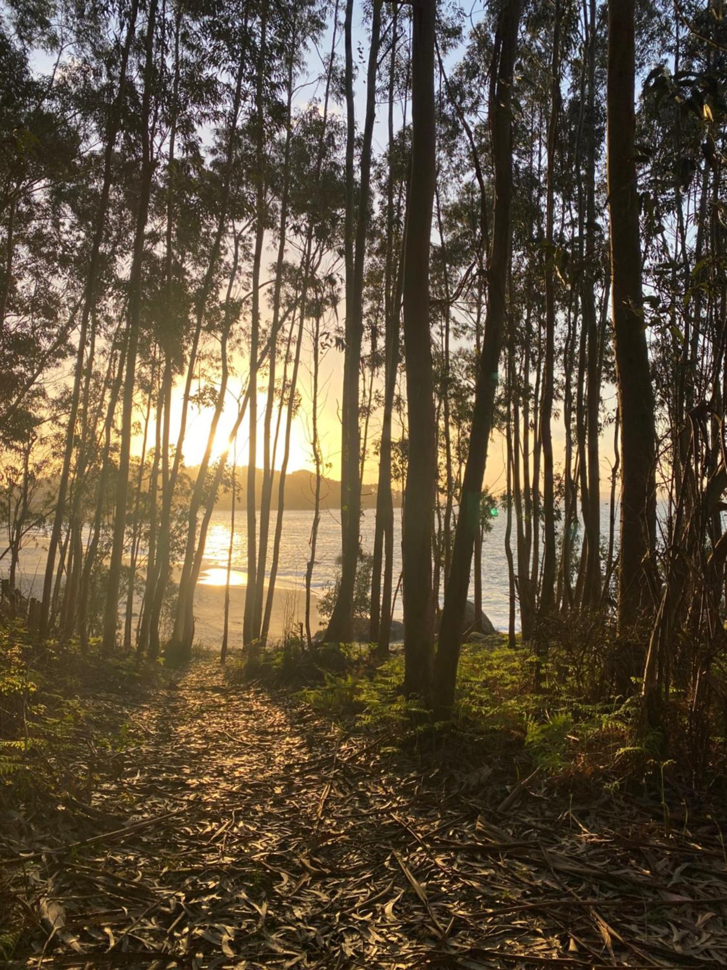 Rincon De Lagos, Bueu Pontevedra Bagian luar foto
